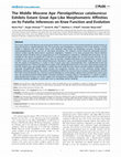 Research paper thumbnail of The Middle Miocene Ape Pierolapithecus catalaunicus Exhibits Extant Great Ape-Like Morphometric Affinities on Its Patella: Inferences on Knee Function and Evolution