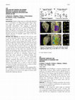 Research paper thumbnail of Drag and Map Strategy for Dynamic Detection of Diseased Myocardium: Innovative Omnipolar Application with Advisor HD Grid