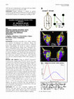 Research paper thumbnail of Identifying Surviving Myocardial Tracts Within Infarcted Regions in an in Vivo Swine Model Using Omnipolar Methodology