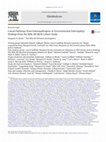 Research paper thumbnail of Causal Pathways from Enteropathogens to Environmental Enteropathy: Findings from the MAL-ED Birth Cohort Study