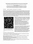 Research paper thumbnail of Functionalized alginate microparticles for fluid flow visualization