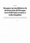 Research paper thumbnail of Bosques no mediáticos: la destrucción del bosque seco boliviano avanza a toda máquina - El Salto - Edición General