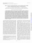 Research paper thumbnail of The N- and C-Terminal Portions of the <i>Agrobacterium</i> VirB1 Protein Independently Enhance Tumorigenesis