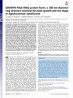 Research paper thumbnail of GROWTH POLE RING protein forms a 200-nm-diameter ring structure essential for polar growth and rod shape in <i>Agrobacterium tumefaciens</i>