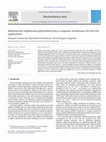 Research paper thumbnail of Multilayered sulphonated polysulfone/silica composite membranes for fuel cell applications