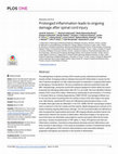 Research paper thumbnail of Prolonged inflammation leads to ongoing damage after spinal cord injury