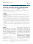 Research paper thumbnail of Extensive duplication of the Wolbachia DNA in chromosome four of Drosophila ananassae