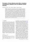 Research paper thumbnail of Formation of focal adhesion-stress fibre complexes coordinated by adhesive and non-adhesive surface domains