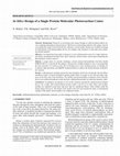 Research paper thumbnail of In Silico Design of a Single Protein Molecular Photoreaction Center