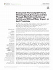 Research paper thumbnail of Bioinspired Rhamnolipid Protects Wheat Against Zymoseptoria tritici Through Mainly Direct Antifungal Activity and Without Major Impact on Leaf Physiology