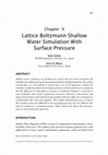 Research paper thumbnail of Lattice Boltzmann Shallow Water Simulation With Surface Pressure