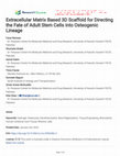 Research paper thumbnail of Extracellular Matrix Based 3D Scaffold for Directing the Fate of Adult Stem Cells into Osteogenic Lineage