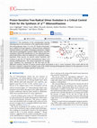 Research paper thumbnail of Proton-Sensitive Free-Radical Dimer Evolution Is a Critical Control Point for the Synthesis of Δ<sup>2,2<sup>′</sup></sup>-Bibenzothiazines