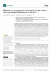 Research paper thumbnail of Mechanism of Deoxygenation and Cracking of Fatty Acids by Gas-Phase Cationic Complexes of Ni, Pd, and Pt