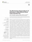 Research paper thumbnail of The Mechanisms Responsible for N Deficiency in Well-Watered Wheat Under Elevated CO2