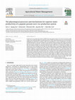 Research paper thumbnail of The physiological processes and mechanisms for superior water productivity of a popular ground cover rice production system