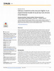 Research paper thumbnail of Salivary creatinine and urea are higher in an experimental model of acute but not chronic renal disease