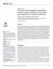 Research paper thumbnail of The extant immunoglobulin superfamily, member 1 gene results from an ancestral gene duplication in eutherian mammals