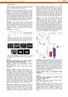 Research paper thumbnail of OC-0158: Impact of breathing guidance and prospective gating on 4DCT image quality: a digital phantom study