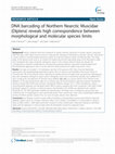 Research paper thumbnail of DNA barcoding of Northern Nearctic Muscidae (Diptera) reveals high correspondence between morphological and molecular species limits