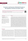 Research paper thumbnail of Prevalence and Intensity of Helminth Parasites in Macrognathus Aculeatus (Lecepede, 1803)