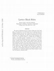 Research paper thumbnail of Lattice black holes