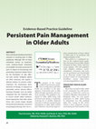 Research paper thumbnail of Evidence-Based Practice Guideline: Persistent Pain Management in Older Adults