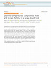 Research paper thumbnail of Extreme temperatures compromise male and female fertility in a large desert bird