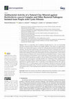 Research paper thumbnail of Antibacterial Activity of a Natural Clay Mineral against Burkholderia cepacia Complex and Other Bacterial Pathogens Isolated from People with Cystic Fibrosis