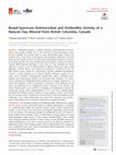 Research paper thumbnail of Broad-Spectrum Antimicrobial and Antibiofilm Activity of a Natural Clay Mineral from British Columbia, Canada