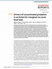 Research paper thumbnail of Drivers of concentrated predation in an Antarctic marginal-ice-zone food web