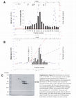 Research paper thumbnail of Supplementary Figure S1 from A Secreted Form of ADAM9 Promotes Carcinoma Invasion through Tumor-Stromal Interactions