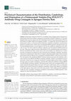 Research paper thumbnail of Preclinical Characterization of the Distribution, Catabolism, and Elimination of a Polatuzumab Vedotin-Piiq (POLIVY®) Antibody–Drug Conjugate in Sprague Dawley Rats