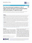 Research paper thumbnail of Two new structural mutations in the 5′ region of the ASIP gene cause diluted feather color phenotypes in Japanese quail