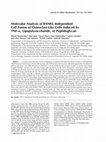 Research paper thumbnail of Molecular analysis of RANKL‐independent cell fusion of osteoclast‐like cells induced by TNF‐α, lipopolysaccharide, or peptidoglycan