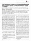 Research paper thumbnail of The Transcription Factor Bach2 is Phosphorylated at Multiple Sites in Murine B Cells But a Single Site Prevents Its Nuclear Localization