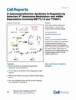 Research paper thumbnail of {"__content__"=>"S-Adenosylmethionine Synthesis Is Regulated by Selective N-Adenosine Methylation and mRNA Degradation Involving METTL16 and YTHDC1.", "sup"=>{"__content__"=>"6"}}