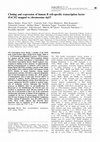 Research paper thumbnail of Cloning and expression of human B cell-specific transcription factor BACH2 mapped to chromosome 6q15