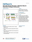 Research paper thumbnail of Discoidin Domain Receptor 1 Mediates Myosin-Dependent Collagen Contraction