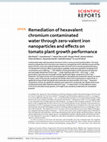 Research paper thumbnail of Remediation of hexavalent chromium contaminated water through zero-valent iron nanoparticles and effects on tomato plant growth performance