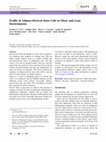 Research paper thumbnail of Profile of Adipose-Derived Stem Cells in Obese and Lean Environments