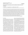 Research paper thumbnail of Does the Brain Noradrenaline Network Mediate the Effects of the CO2 Challenge?