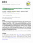 Research paper thumbnail of Sugars and sucrose transporters in pollinia ofPhalaenopsis aphrodite(Orchidaceae)