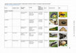 Research paper thumbnail of Noctuoidea: Erebidae: Lymantriinae, Rivulinae, Scoliopteryginae, Thiacidinae, Tinoliinae, Toxocampinae, undetermined subfamily