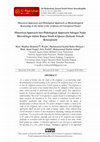 Research paper thumbnail of Historical Approach dan Philological Approach Sebagai Nalar  Metodologis dalam Kajian Studi al-Quran (Sebuah Telaah  Konseptual)