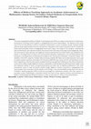 Research paper thumbnail of Effects of Modern Teaching Approach on Academic Achievement in Mathematics Among Senior Secondary School Students in Gwagwalada Area Council Abuja, Nigeria