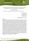 Research paper thumbnail of As territorialidades da região do Lago do Amapá: de seringal à área de proteção ambiental