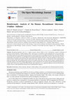 Research paper thumbnail of Bioinformatic Analysis of the Human Recombinant Iduronate 2-Sulfate Sulfatase