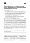 Research paper thumbnail of Genetic and Epigenetic Mechanisms Underlying Vascular Smooth Muscle Cell Phenotypic Modulation in Abdominal Aortic Aneurysm