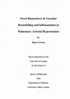 Research paper thumbnail of Novel biomarkers in vascular remodelling and inflammation in pulmonary arterial hypertension